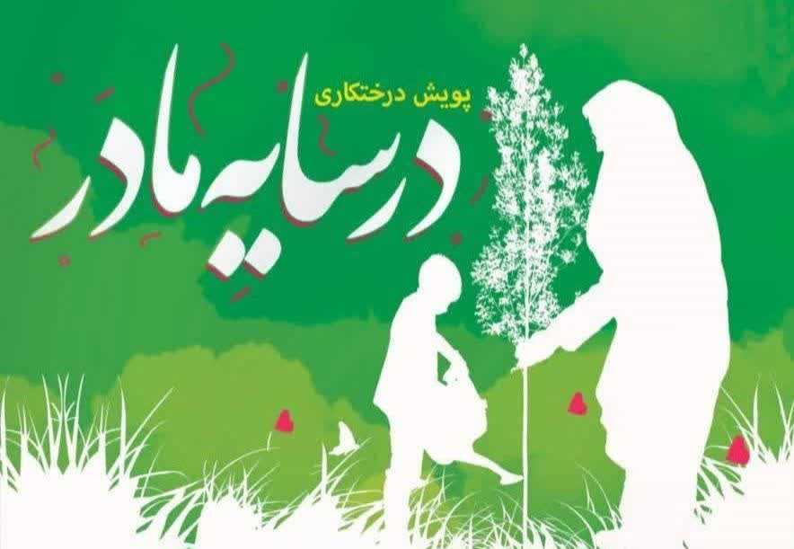  "درختکاری فاطمی" در غرب مازندران اجرا شد